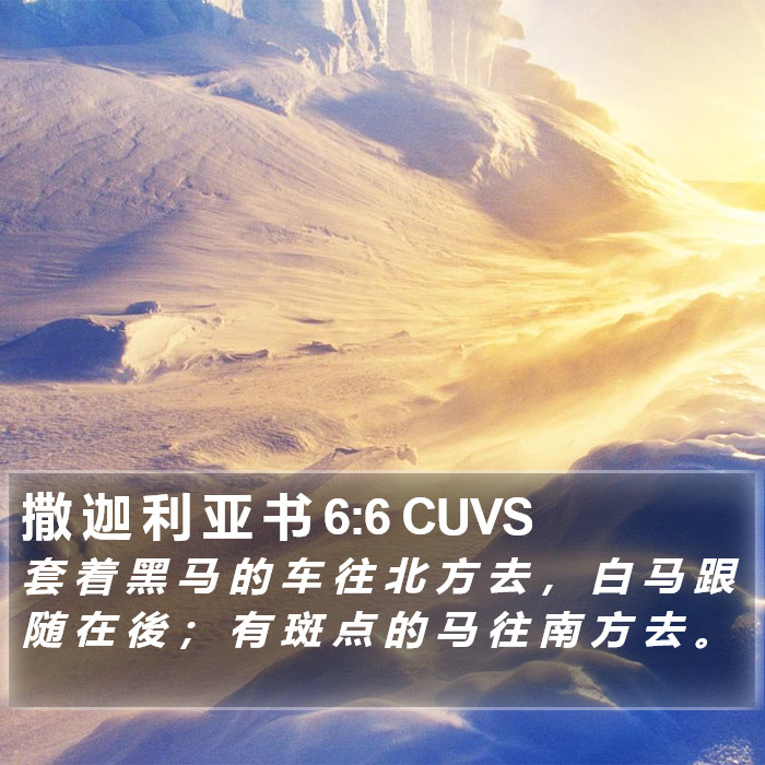 撒 迦 利 亚 书 6:6 CUVS Bible Study