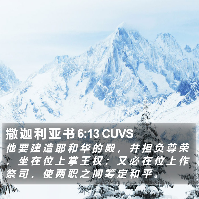 撒 迦 利 亚 书 6:13 CUVS Bible Study