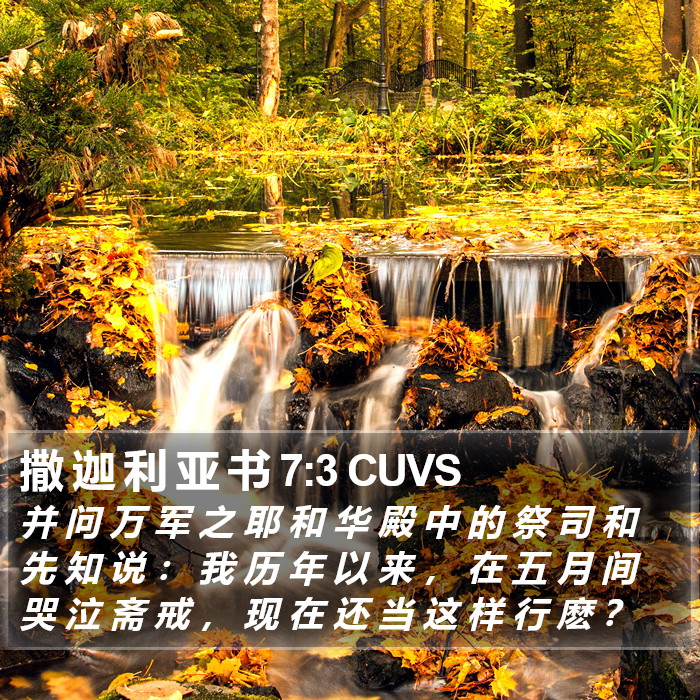 撒 迦 利 亚 书 7:3 CUVS Bible Study