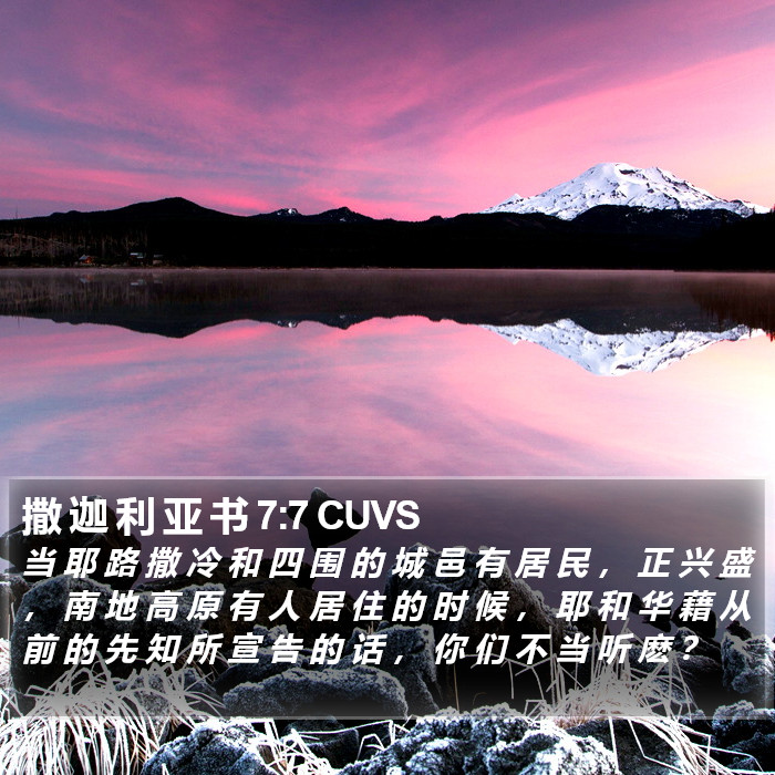 撒 迦 利 亚 书 7:7 CUVS Bible Study