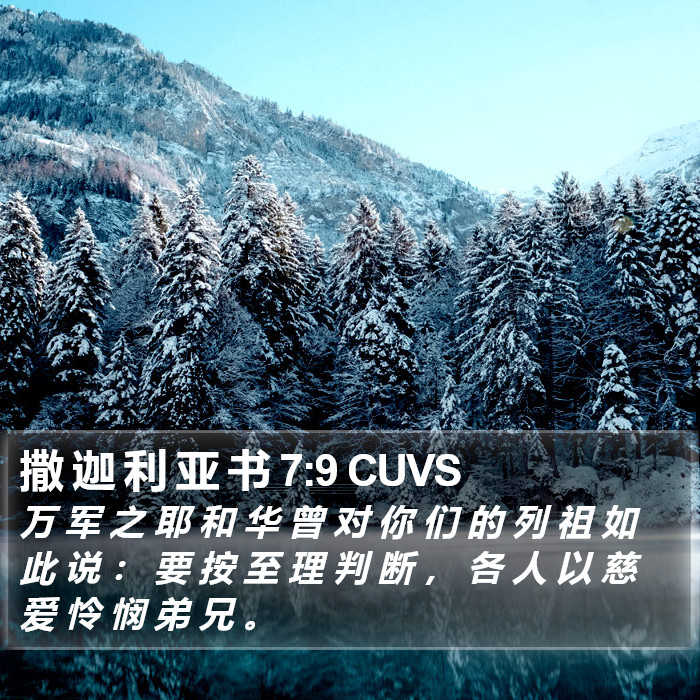 撒 迦 利 亚 书 7:9 CUVS Bible Study