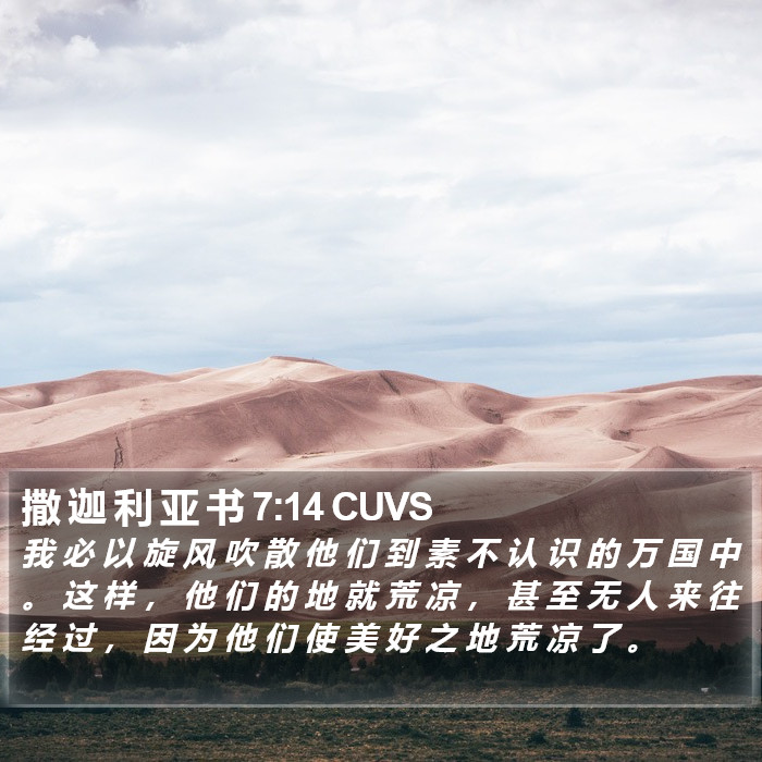 撒 迦 利 亚 书 7:14 CUVS Bible Study