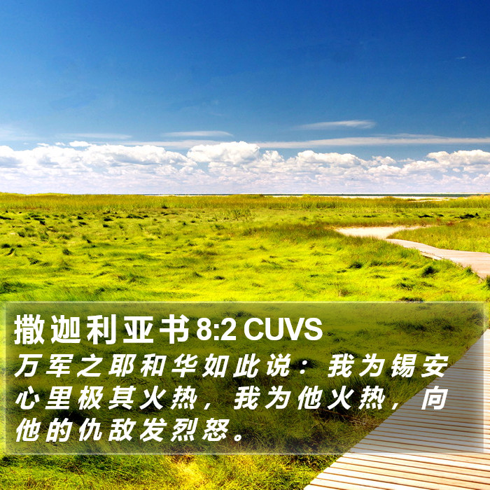 撒 迦 利 亚 书 8:2 CUVS Bible Study