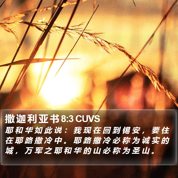 撒 迦 利 亚 书 8:3 CUVS Bible Study