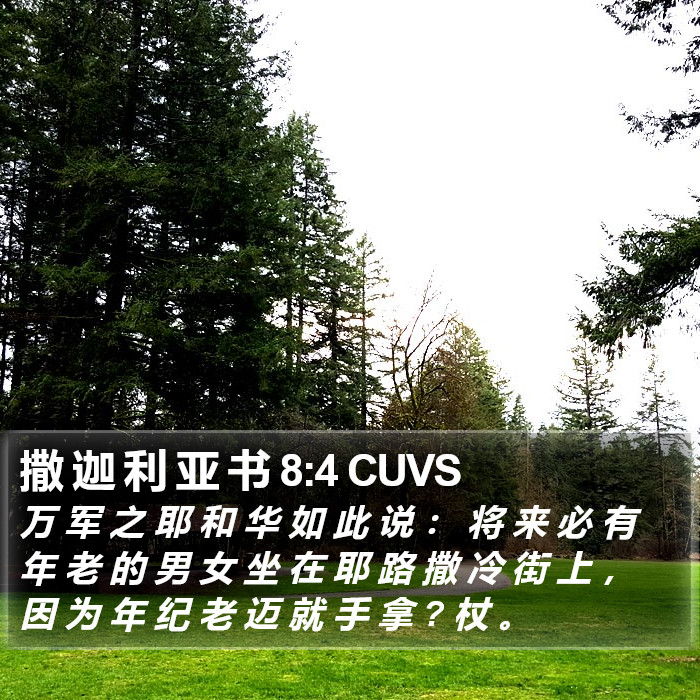 撒 迦 利 亚 书 8:4 CUVS Bible Study