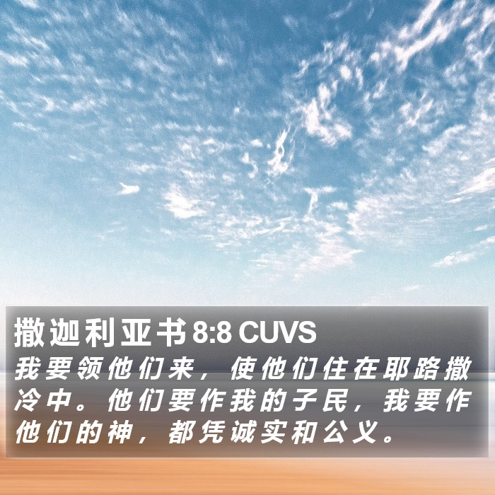 撒 迦 利 亚 书 8:8 CUVS Bible Study