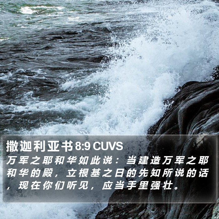 撒 迦 利 亚 书 8:9 CUVS Bible Study