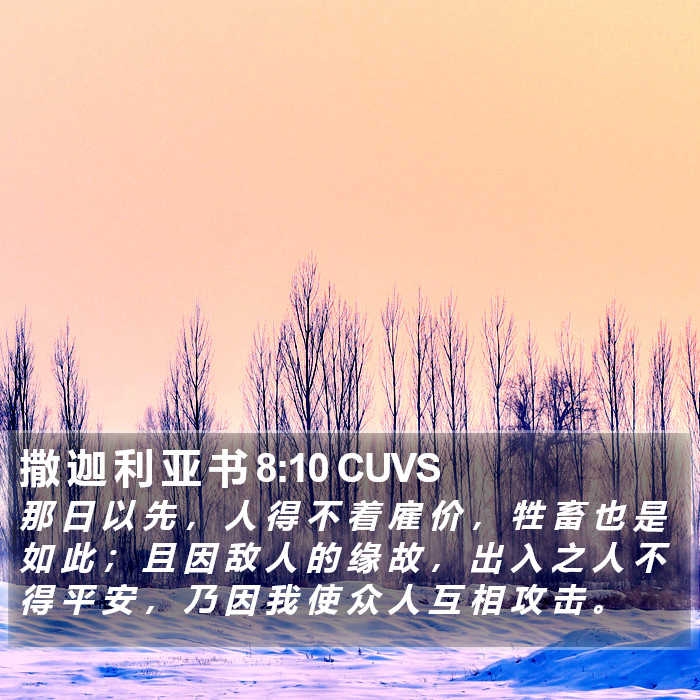 撒 迦 利 亚 书 8:10 CUVS Bible Study