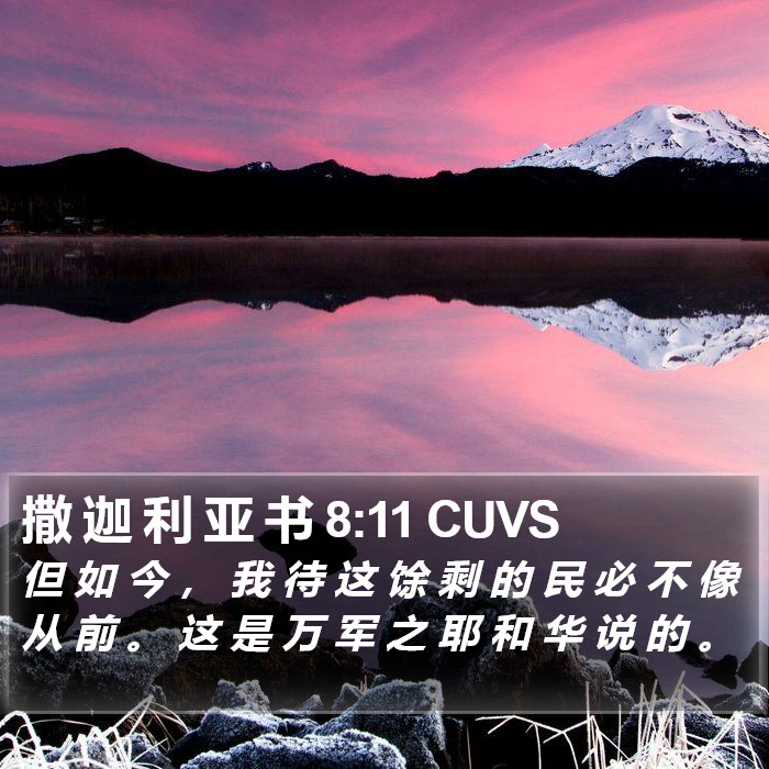 撒 迦 利 亚 书 8:11 CUVS Bible Study