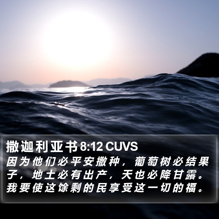 撒 迦 利 亚 书 8:12 CUVS Bible Study