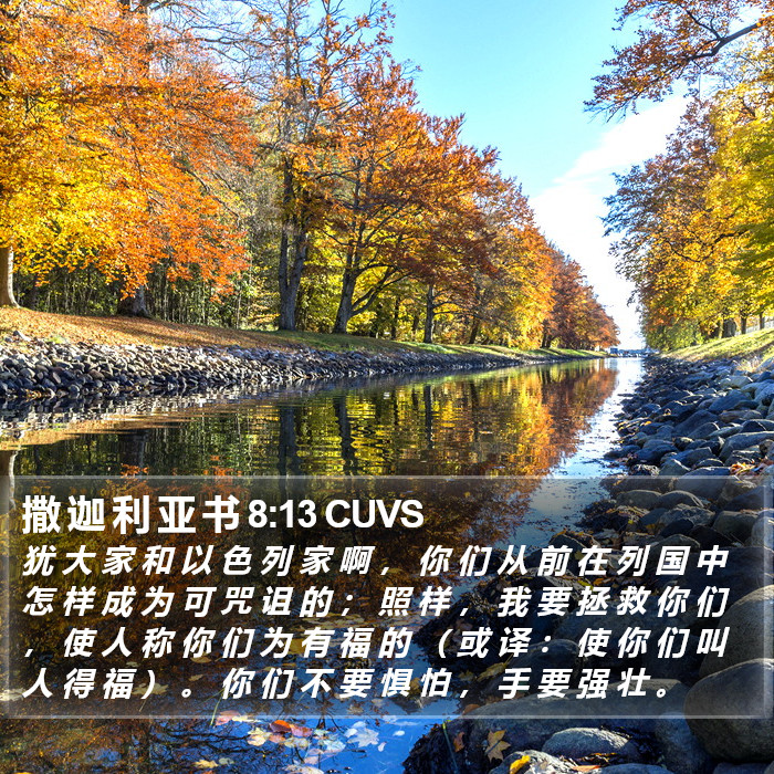 撒 迦 利 亚 书 8:13 CUVS Bible Study