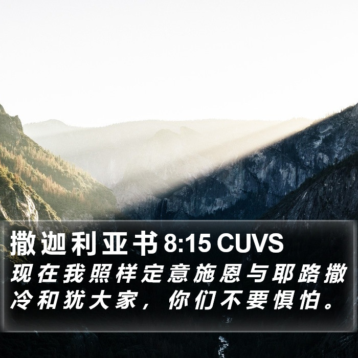 撒 迦 利 亚 书 8:15 CUVS Bible Study