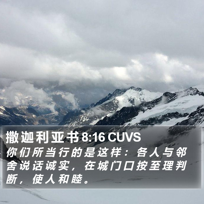 撒 迦 利 亚 书 8:16 CUVS Bible Study