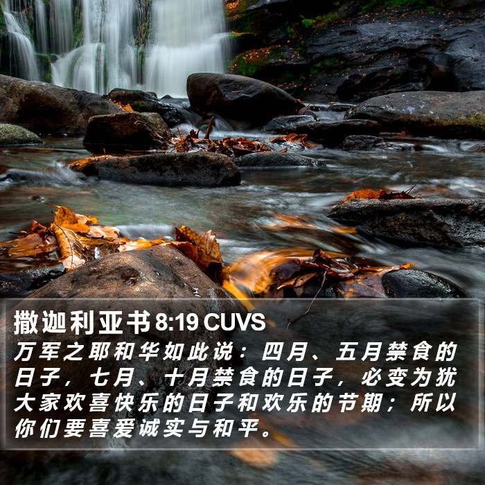 撒 迦 利 亚 书 8:19 CUVS Bible Study