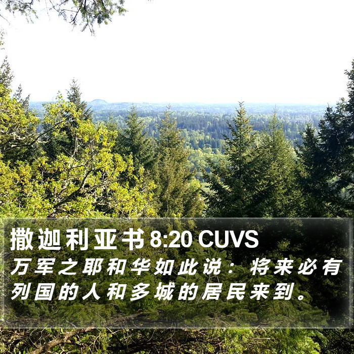 撒 迦 利 亚 书 8:20 CUVS Bible Study