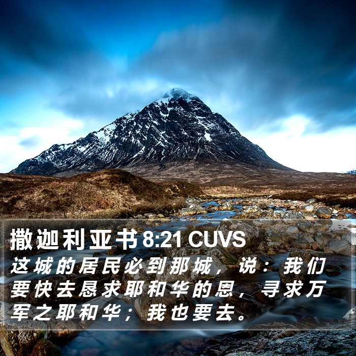 撒 迦 利 亚 书 8:21 CUVS Bible Study