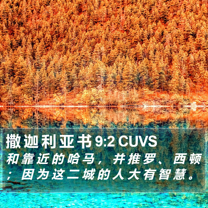 撒 迦 利 亚 书 9:2 CUVS Bible Study