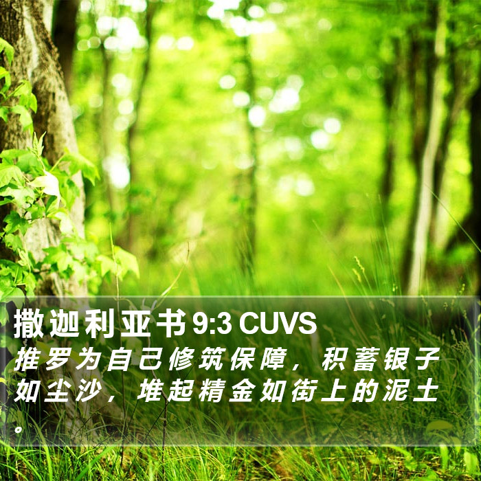 撒 迦 利 亚 书 9:3 CUVS Bible Study