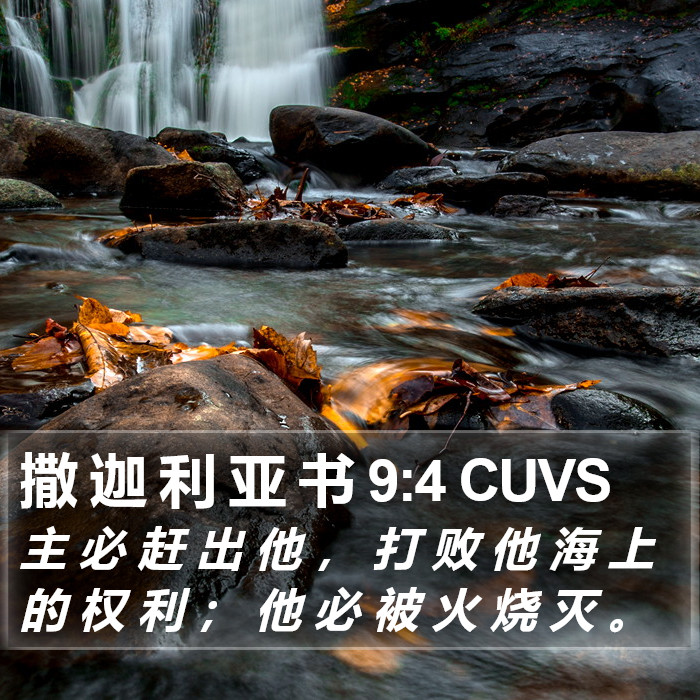 撒 迦 利 亚 书 9:4 CUVS Bible Study