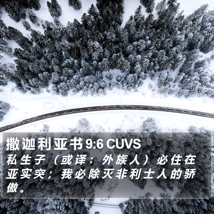 撒 迦 利 亚 书 9:6 CUVS Bible Study