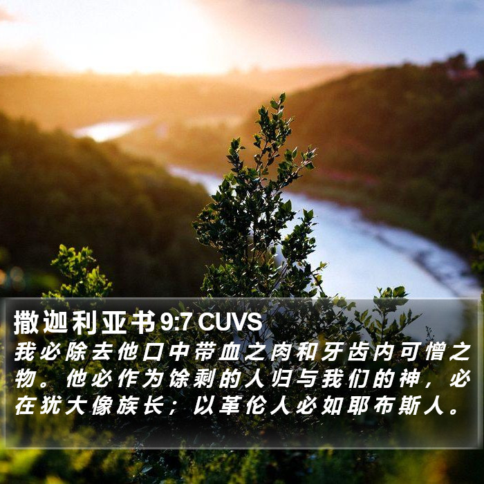 撒 迦 利 亚 书 9:7 CUVS Bible Study