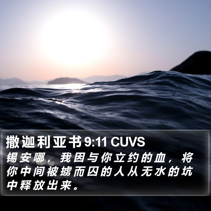 撒 迦 利 亚 书 9:11 CUVS Bible Study