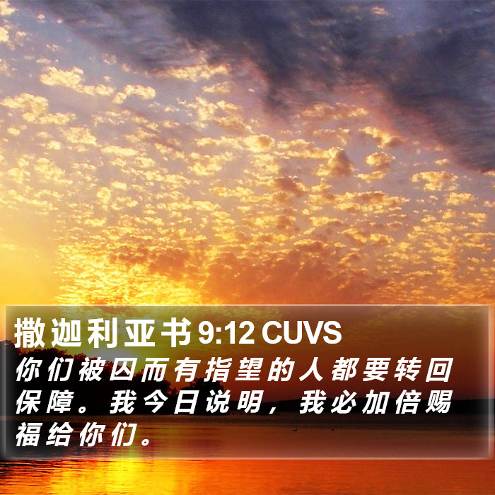 撒 迦 利 亚 书 9:12 CUVS Bible Study