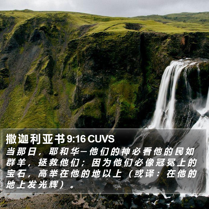 撒 迦 利 亚 书 9:16 CUVS Bible Study