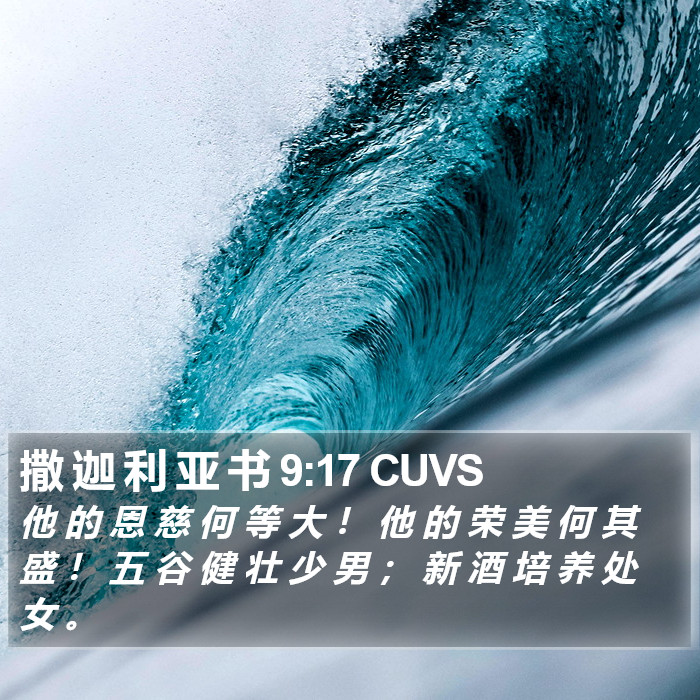 撒 迦 利 亚 书 9:17 CUVS Bible Study