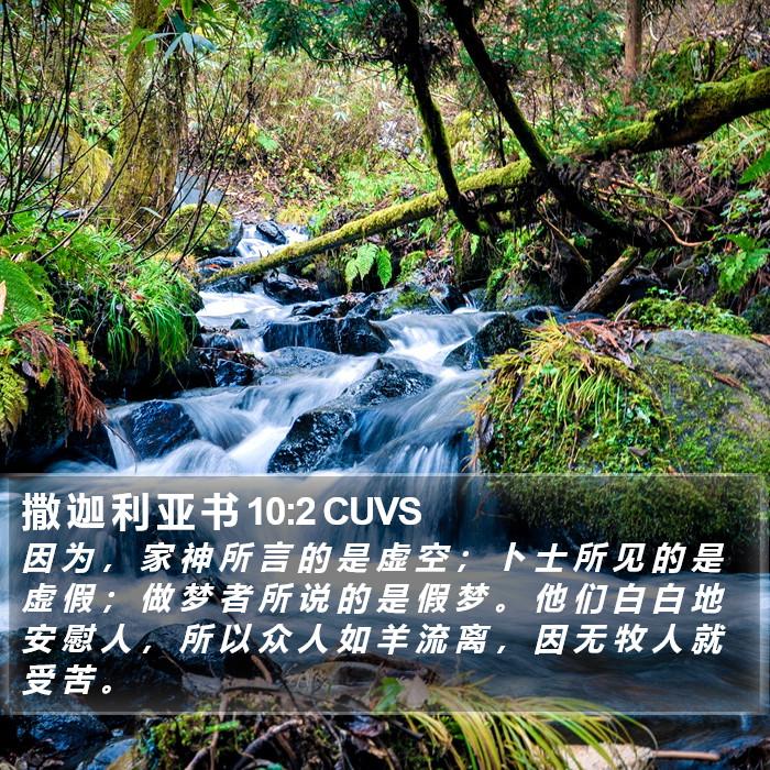 撒 迦 利 亚 书 10:2 CUVS Bible Study