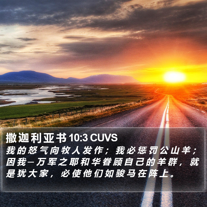 撒 迦 利 亚 书 10:3 CUVS Bible Study
