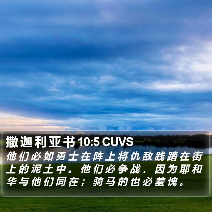 撒 迦 利 亚 书 10:5 CUVS Bible Study