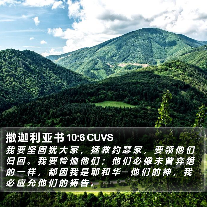 撒 迦 利 亚 书 10:6 CUVS Bible Study