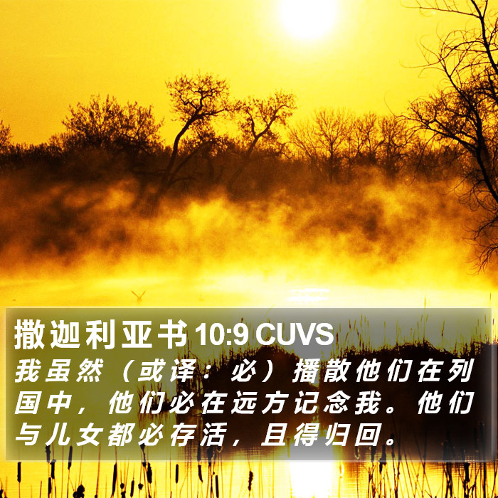 撒 迦 利 亚 书 10:9 CUVS Bible Study