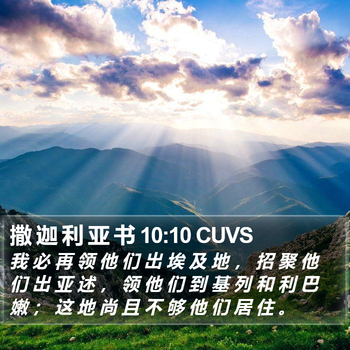 撒 迦 利 亚 书 10:10 CUVS Bible Study