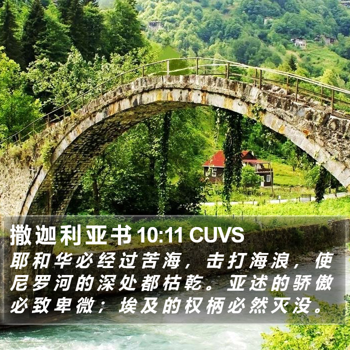 撒 迦 利 亚 书 10:11 CUVS Bible Study