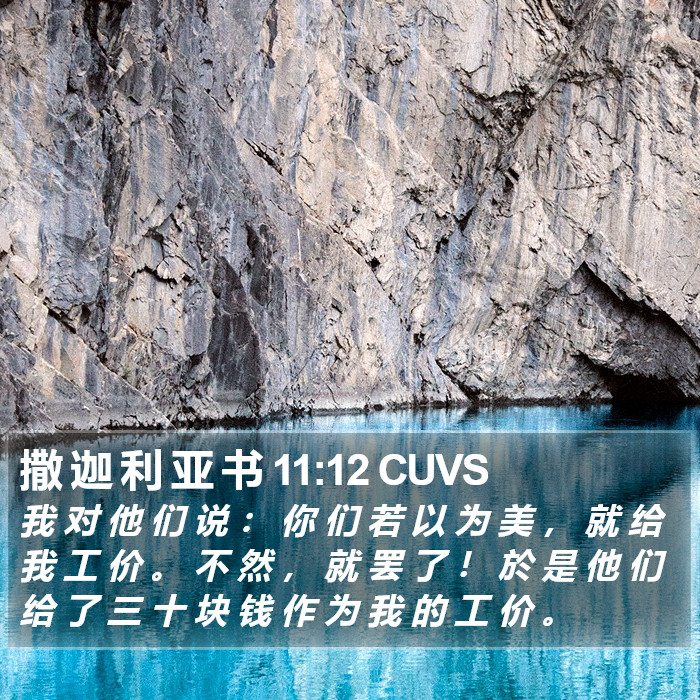 撒 迦 利 亚 书 11:12 CUVS Bible Study