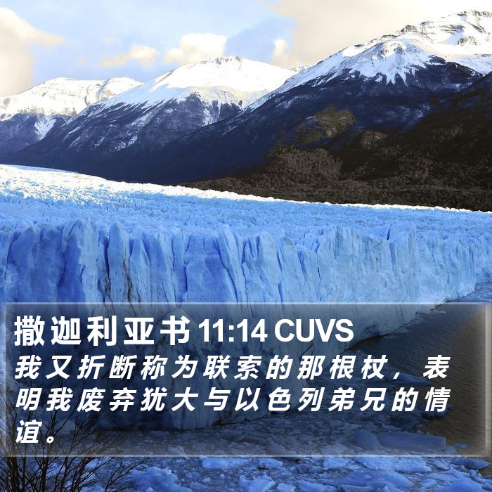 撒 迦 利 亚 书 11:14 CUVS Bible Study