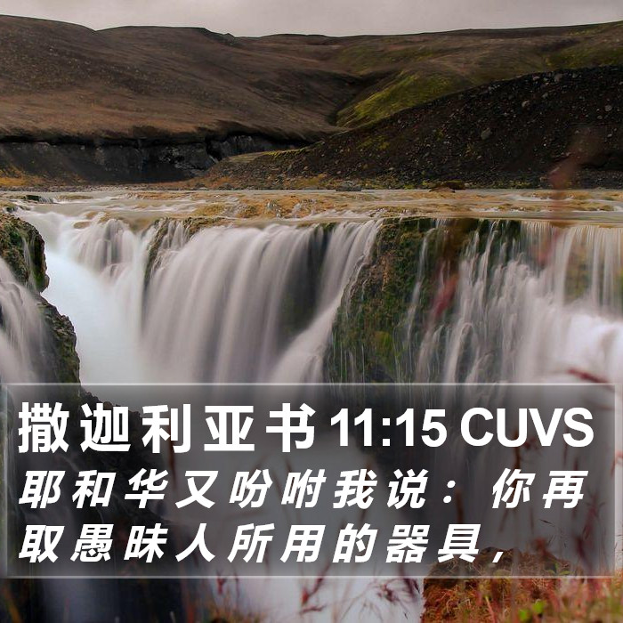 撒 迦 利 亚 书 11:15 CUVS Bible Study