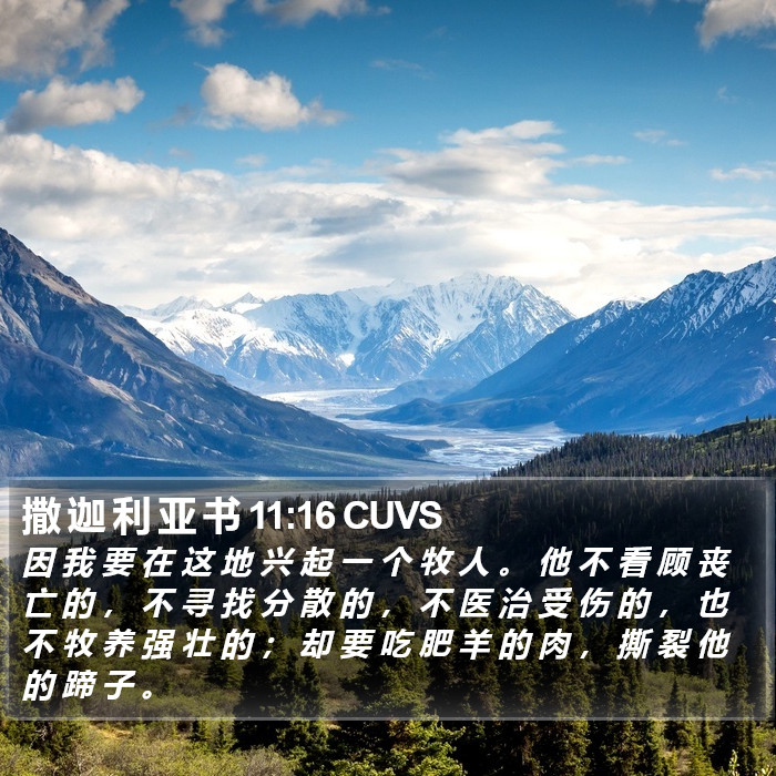 撒 迦 利 亚 书 11:16 CUVS Bible Study