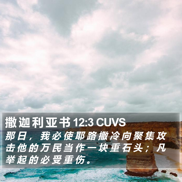 撒 迦 利 亚 书 12:3 CUVS Bible Study