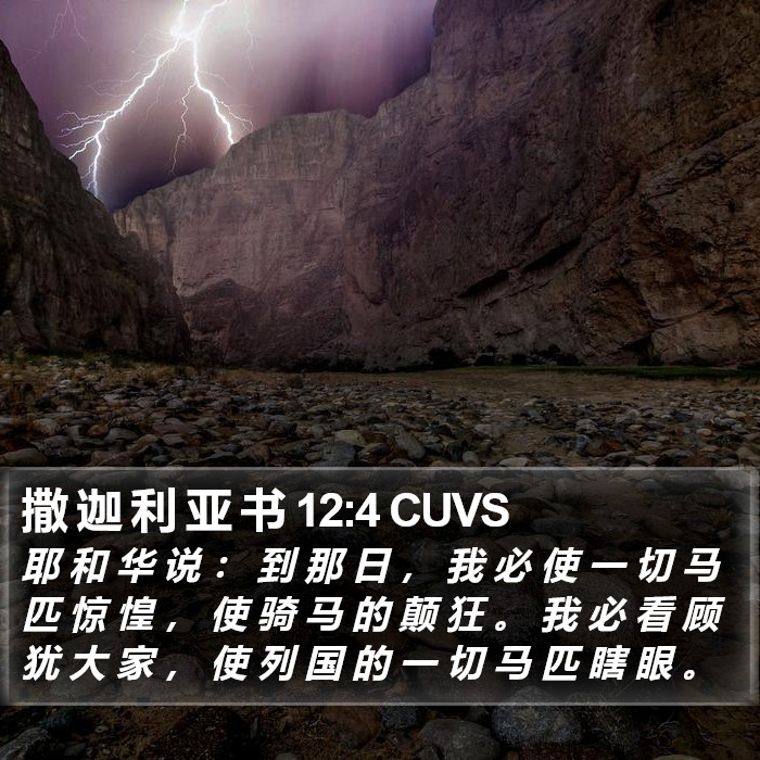 撒 迦 利 亚 书 12:4 CUVS Bible Study