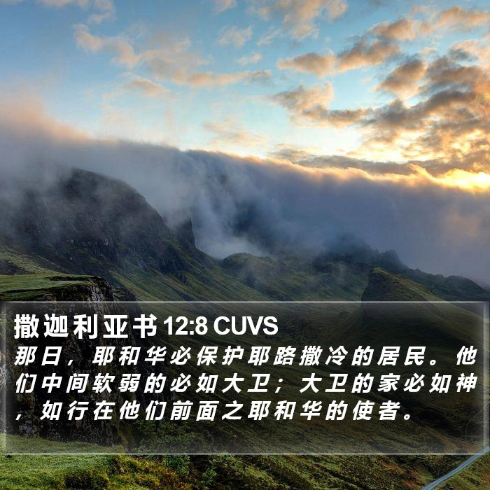 撒 迦 利 亚 书 12:8 CUVS Bible Study