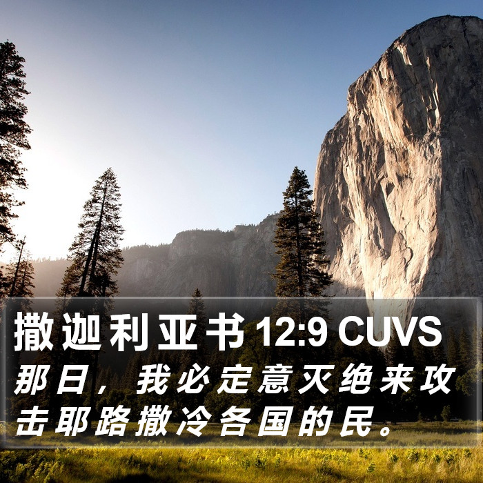 撒 迦 利 亚 书 12:9 CUVS Bible Study