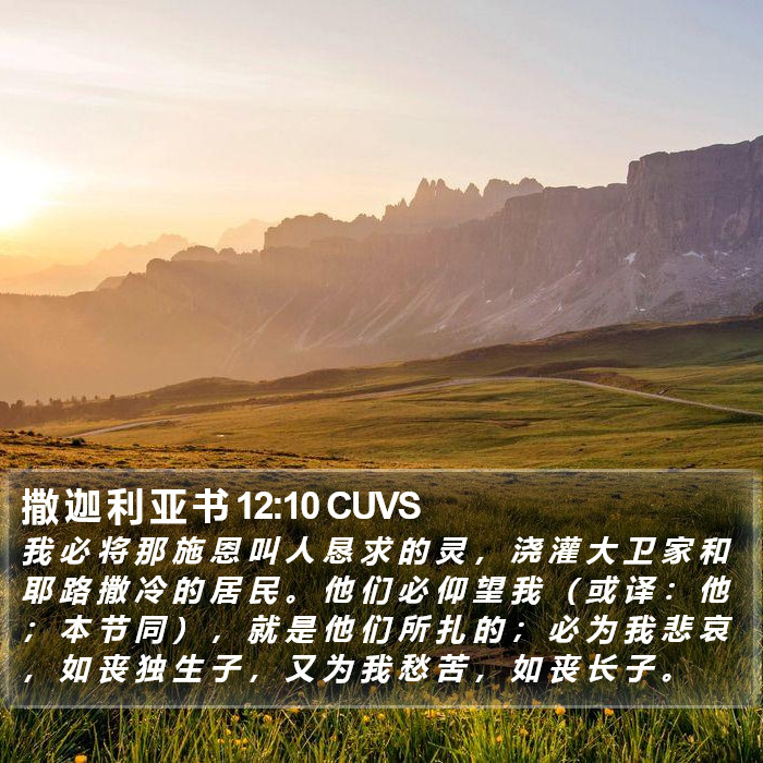 撒 迦 利 亚 书 12:10 CUVS Bible Study