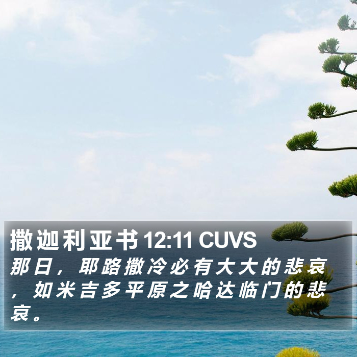 撒 迦 利 亚 书 12:11 CUVS Bible Study