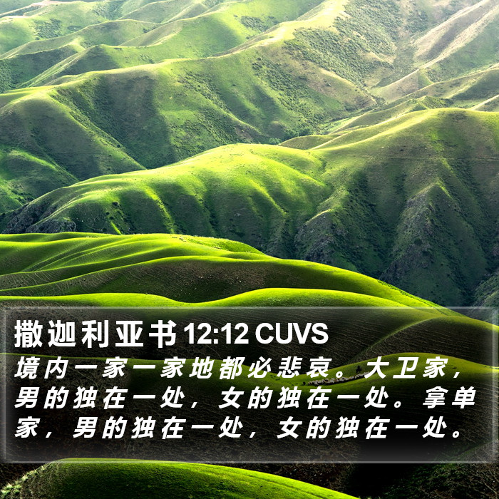 撒 迦 利 亚 书 12:12 CUVS Bible Study