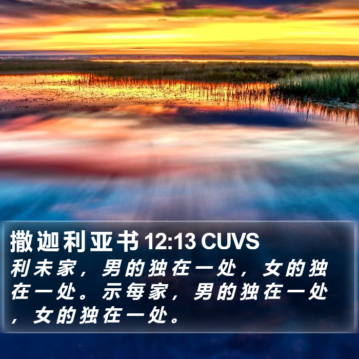 撒 迦 利 亚 书 12:13 CUVS Bible Study