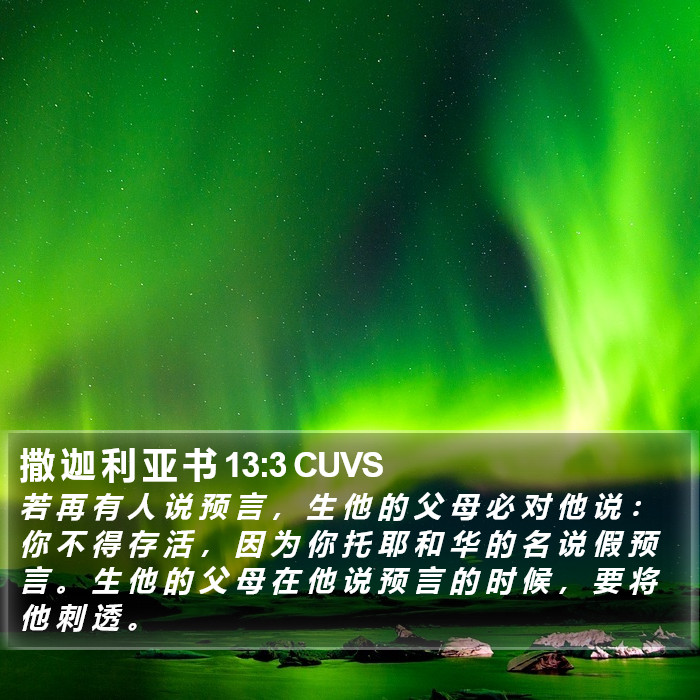 撒 迦 利 亚 书 13:3 CUVS Bible Study