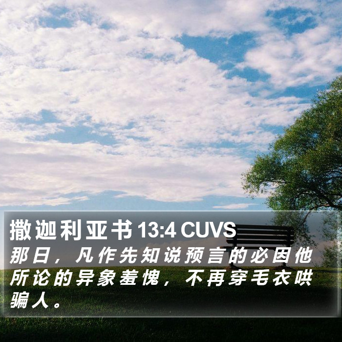 撒 迦 利 亚 书 13:4 CUVS Bible Study